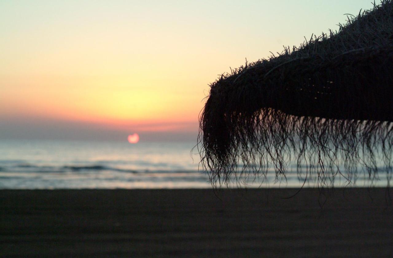 Ag Las Sirenas Playa de Gandia Exteriör bild